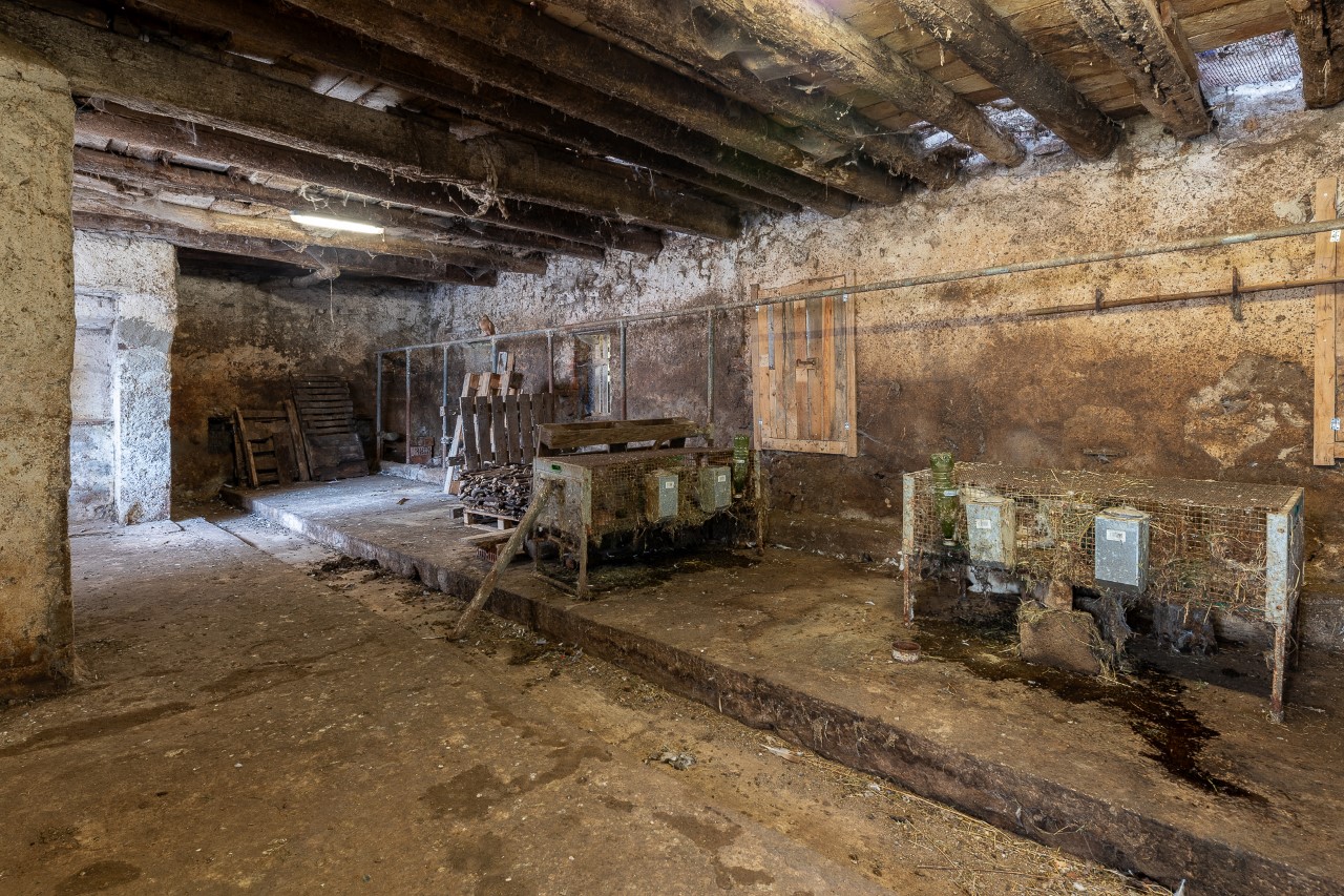 _DSC2769-HDR