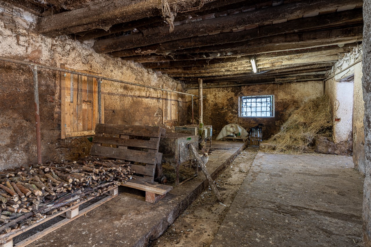 _DSC2772-HDR