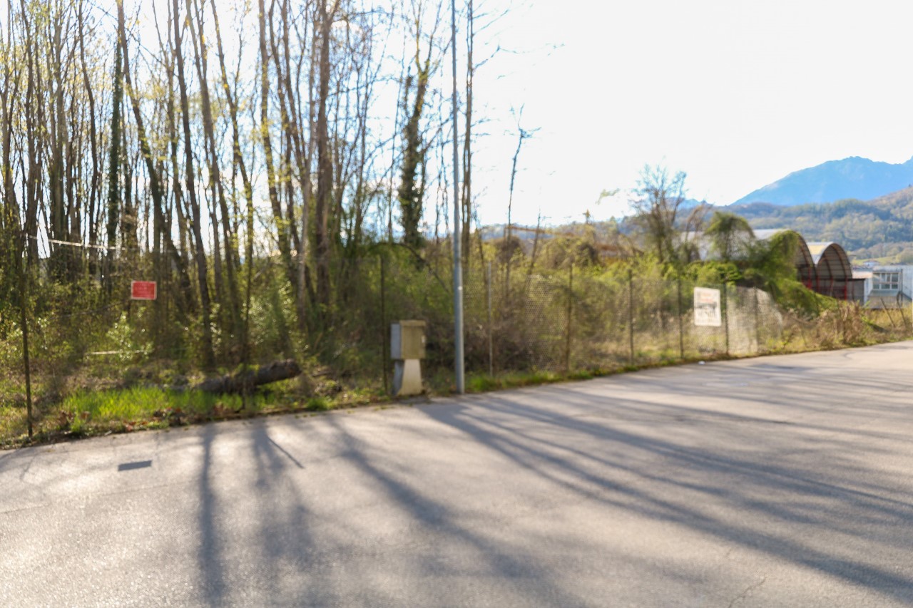 immagine annuncio 3 di 9