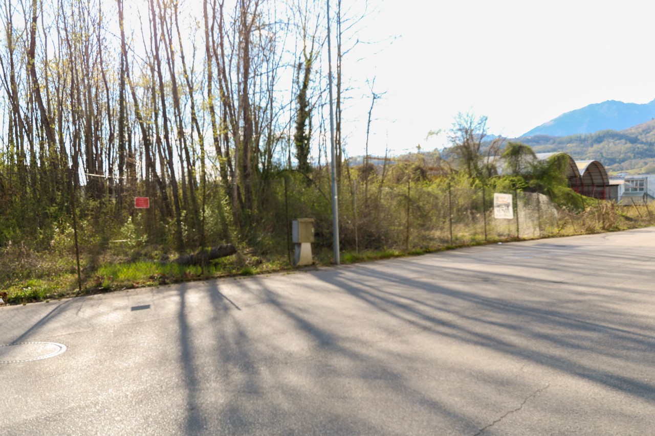 immagine annuncio 1 di 9