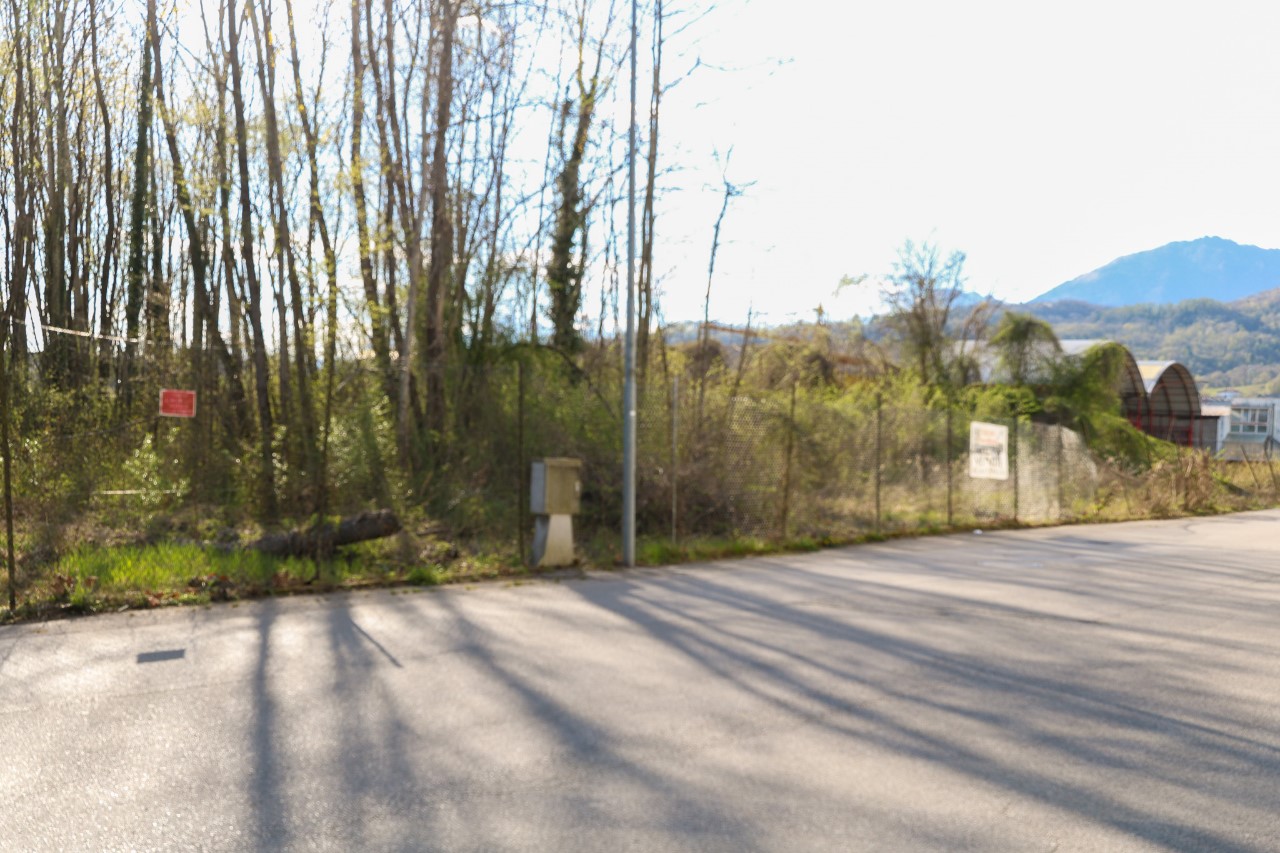 immagine annuncio 2 di 9