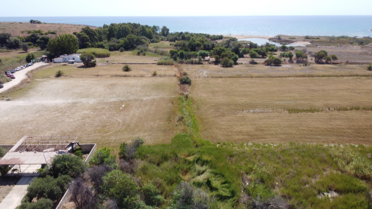 immagine annuncio 1 di 11