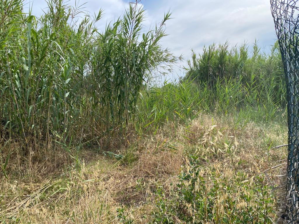 immagine annuncio 7 di 11