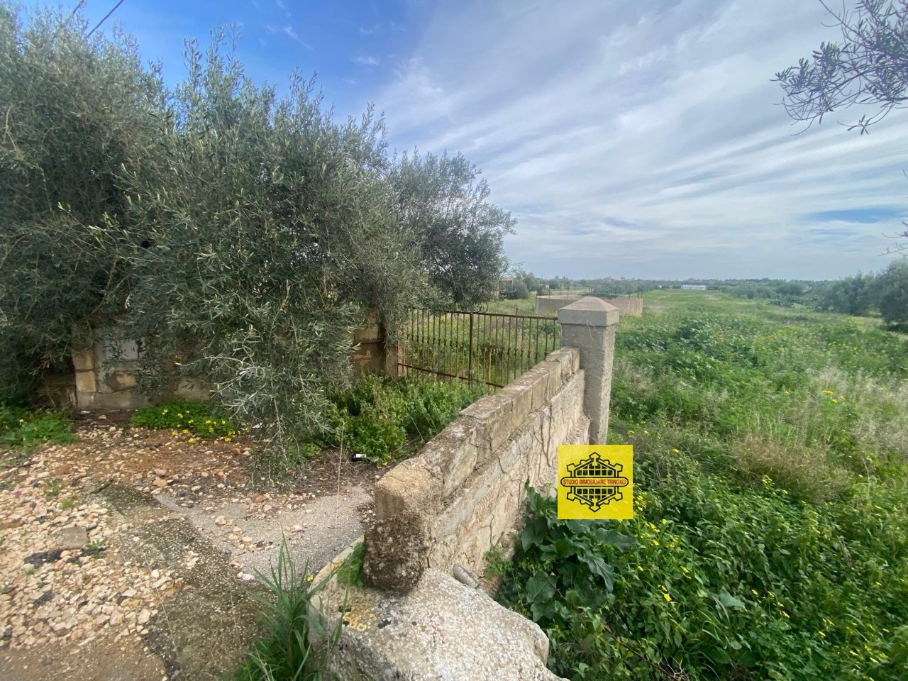 immagine annuncio 6 di 12