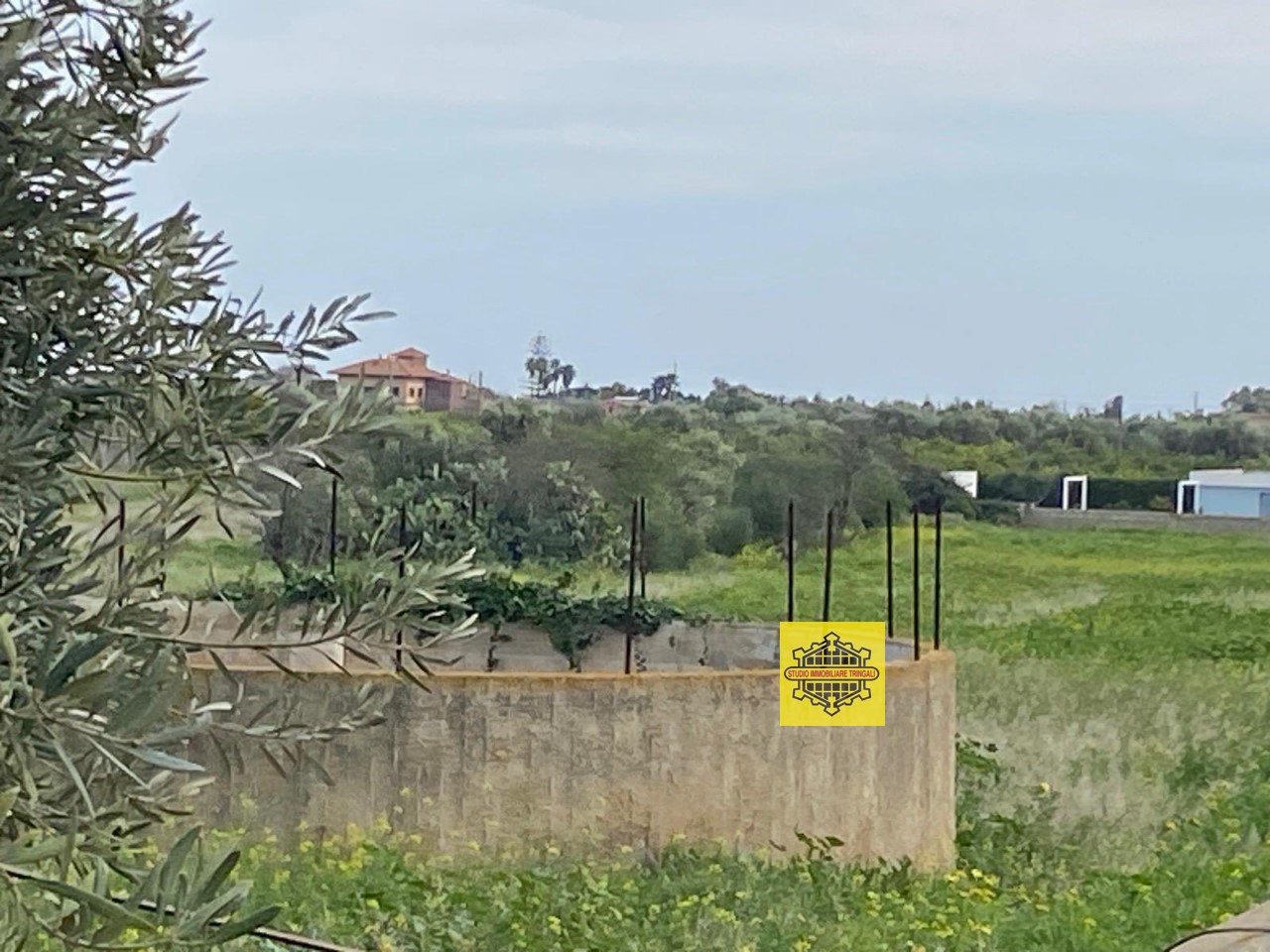 immagine annuncio 10 di 12