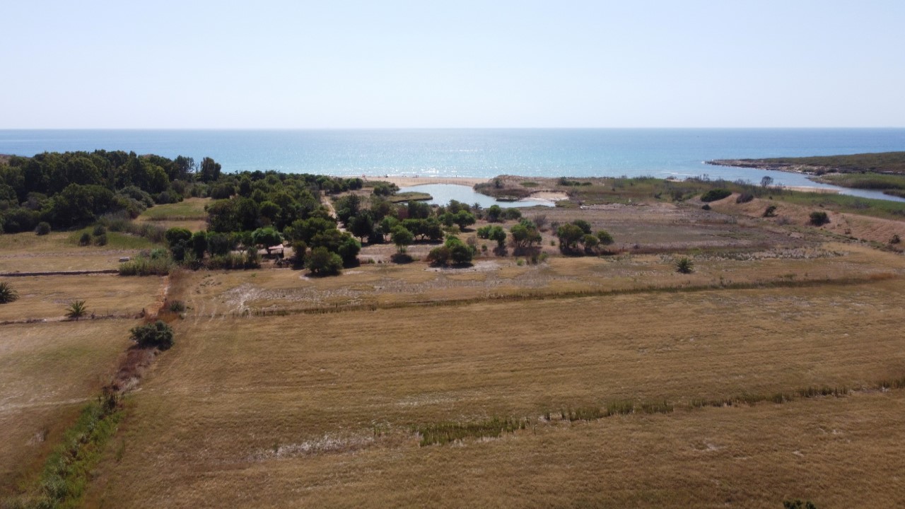 DJI_0818