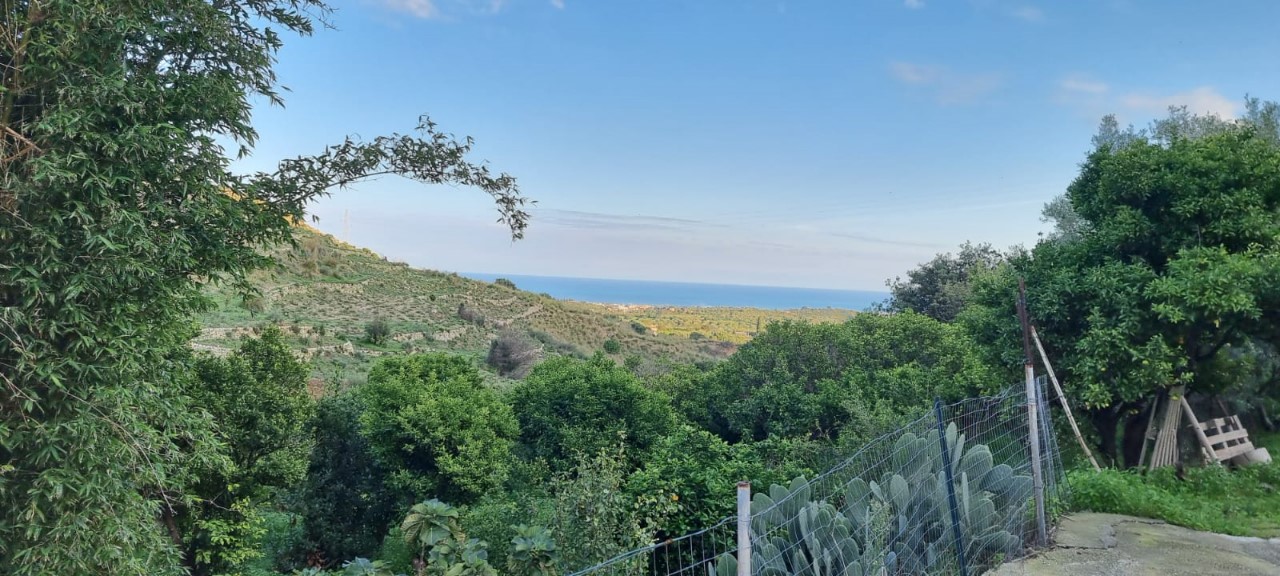 immagine annuncio 5 di 8