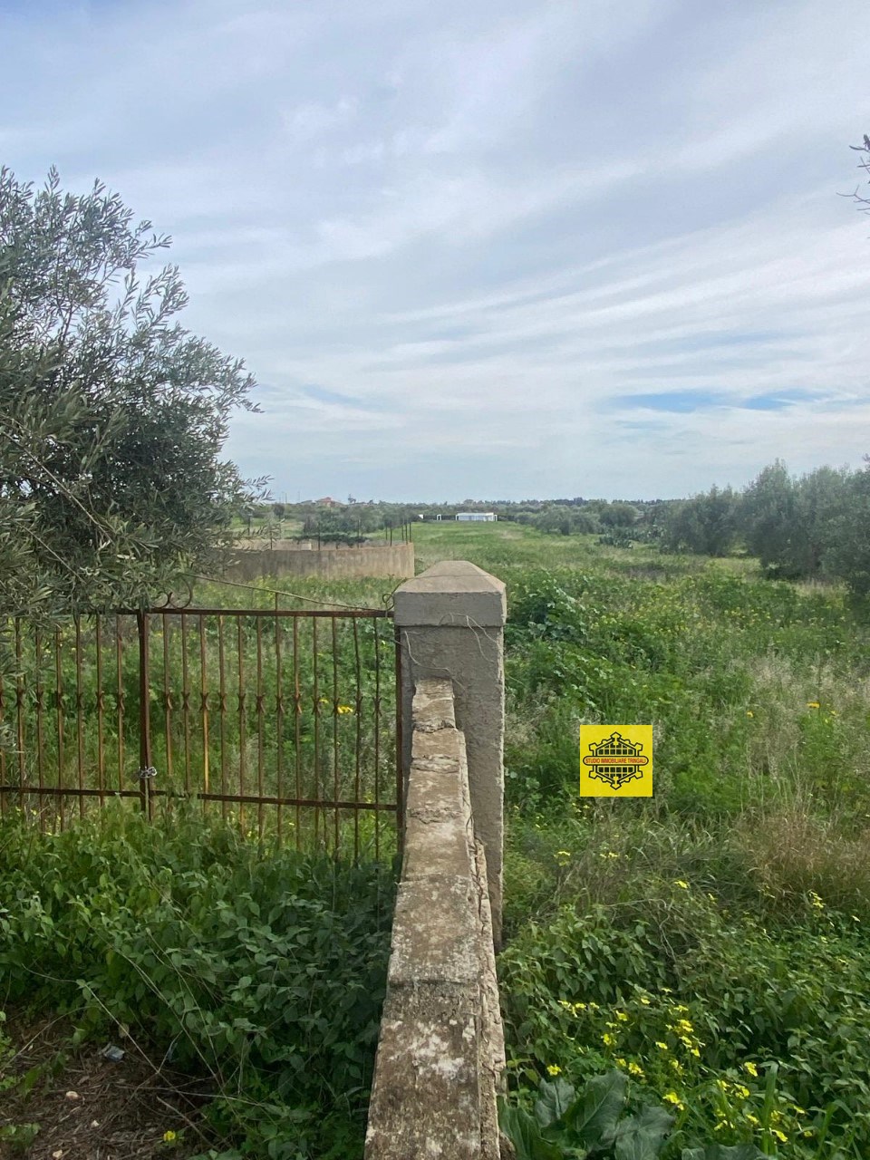 immagine annuncio 7 di 12