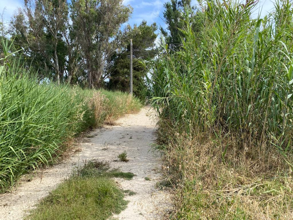 immagine annuncio 8 di 11