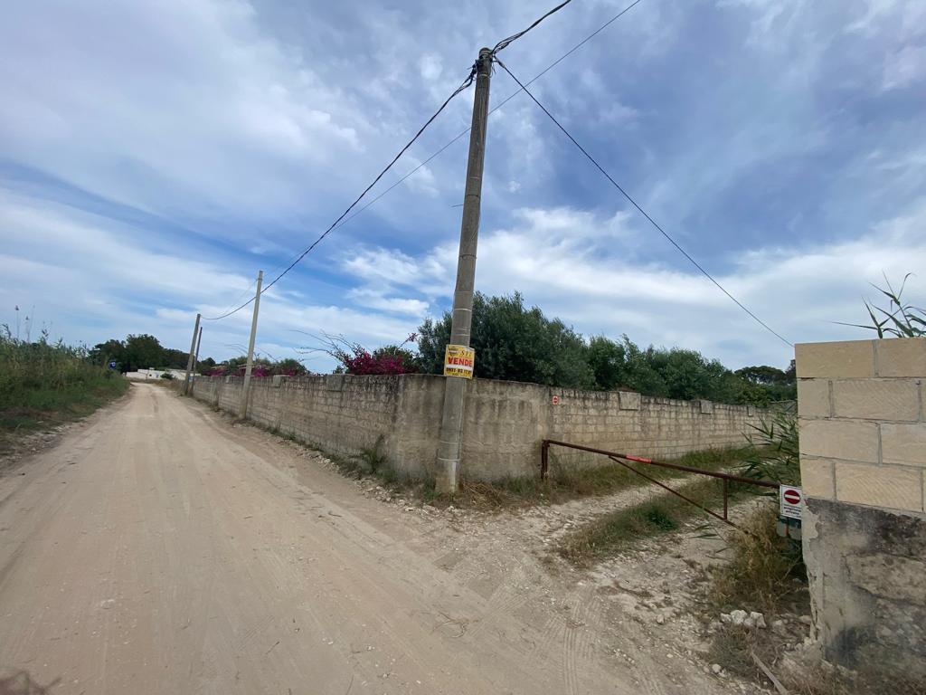 immagine annuncio 5 di 11