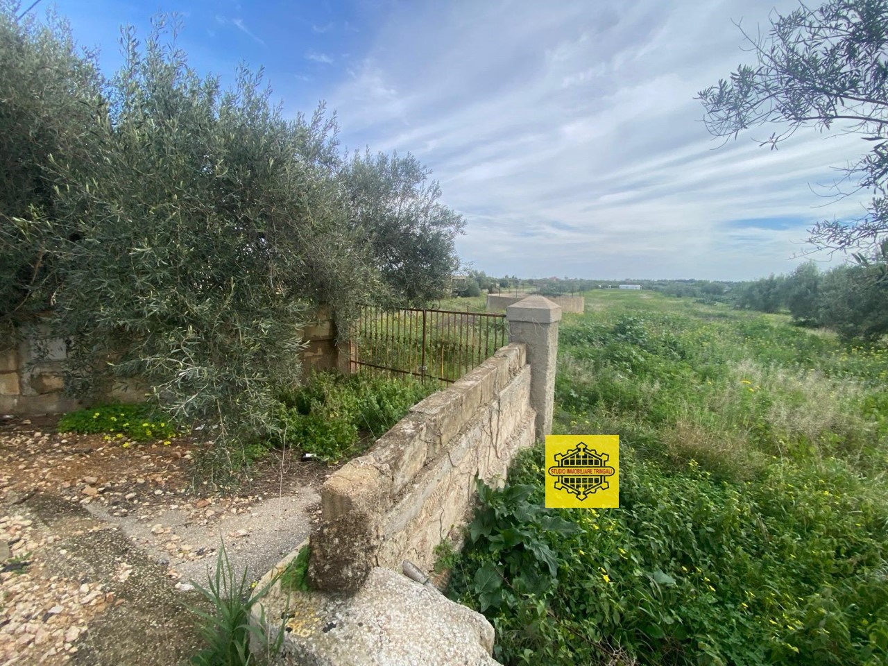 immagine annuncio 5 di 12