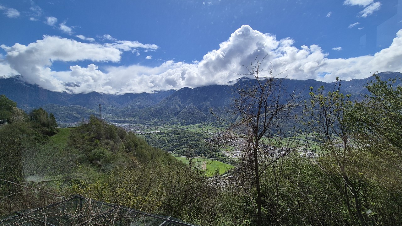 immagine annuncio 10 di 15