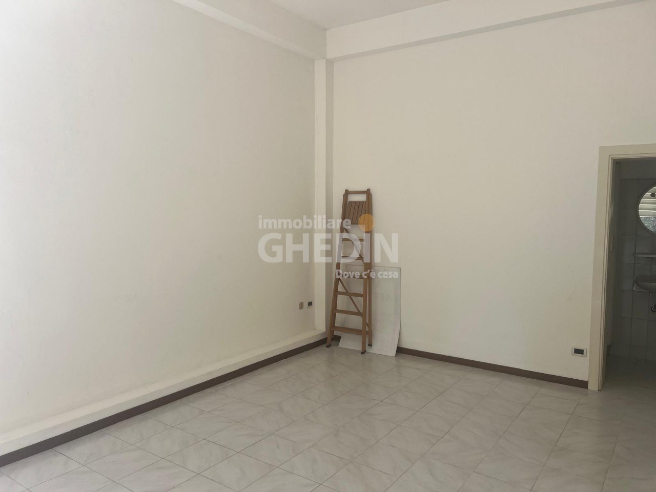 IMG (1)