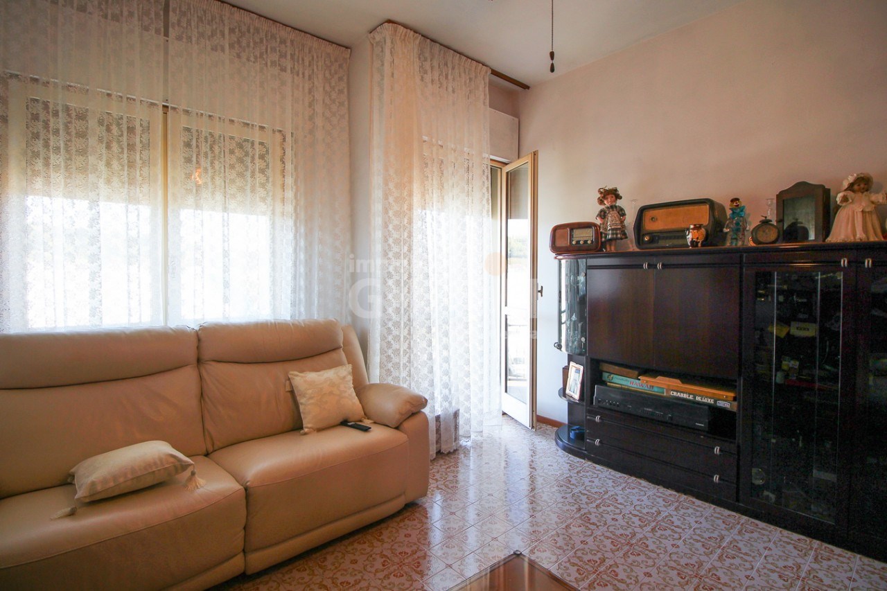 immagine annuncio 2 di 12