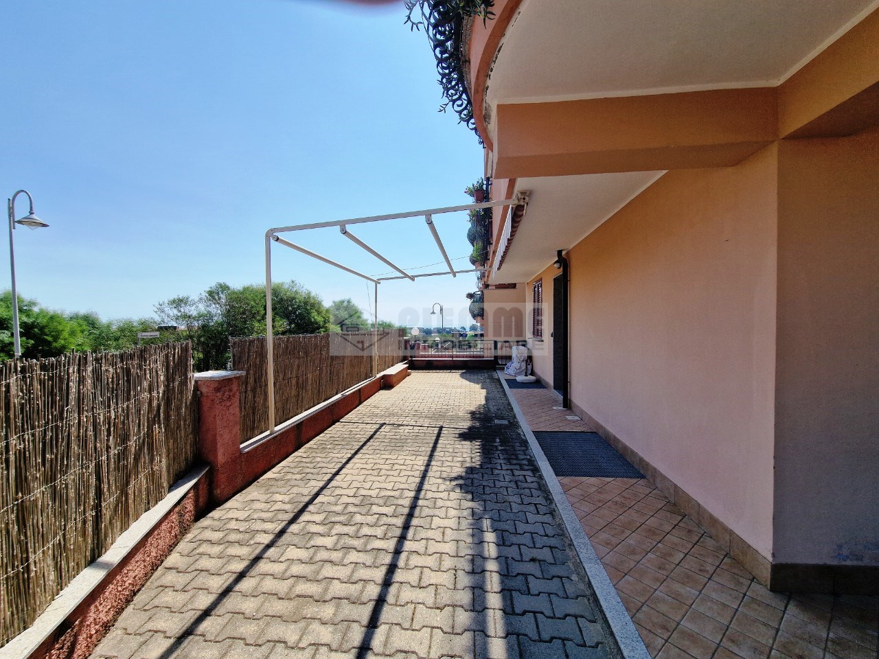 immagine annuncio 2 di 12