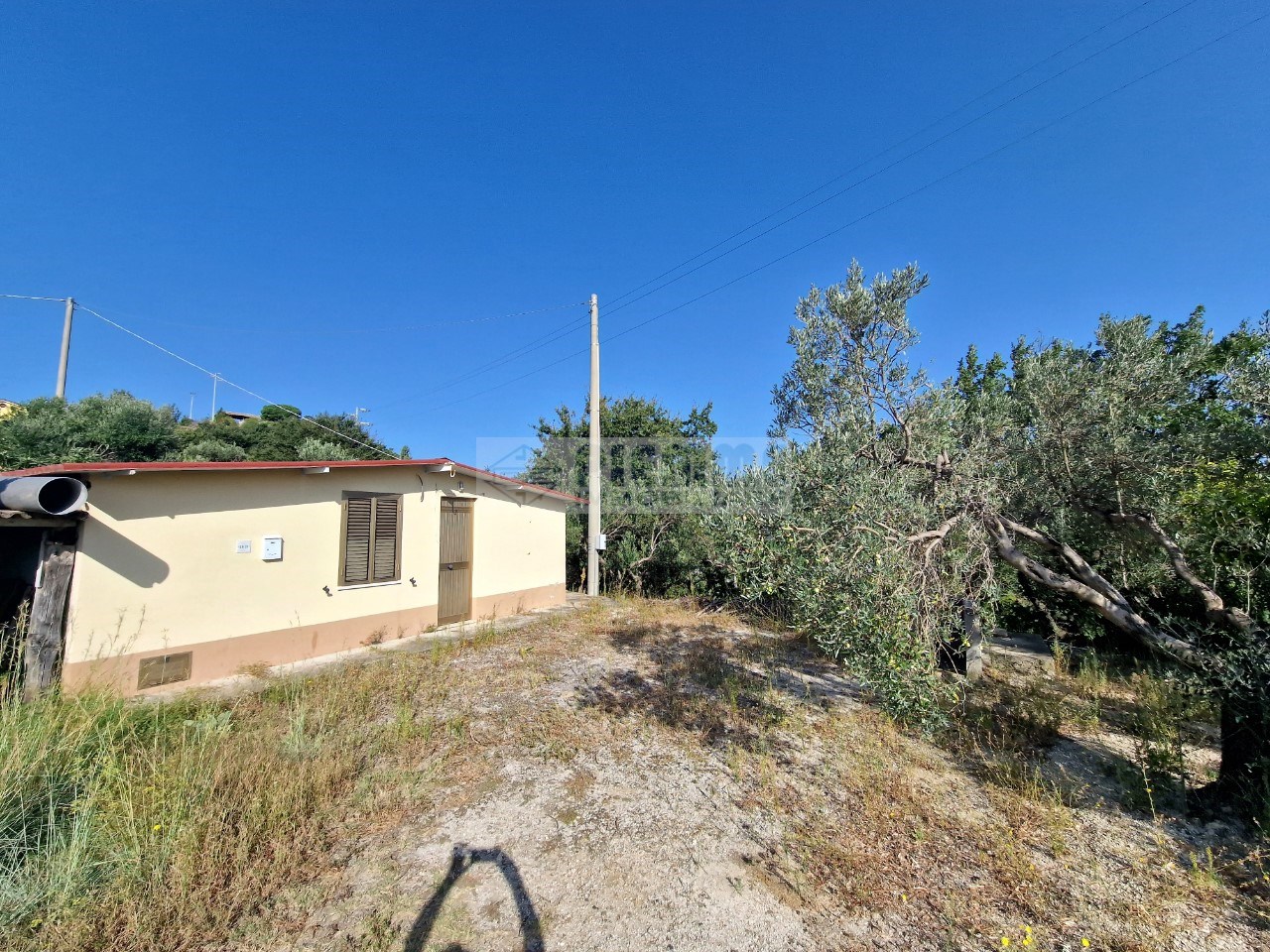 immagine annuncio 3 di 7