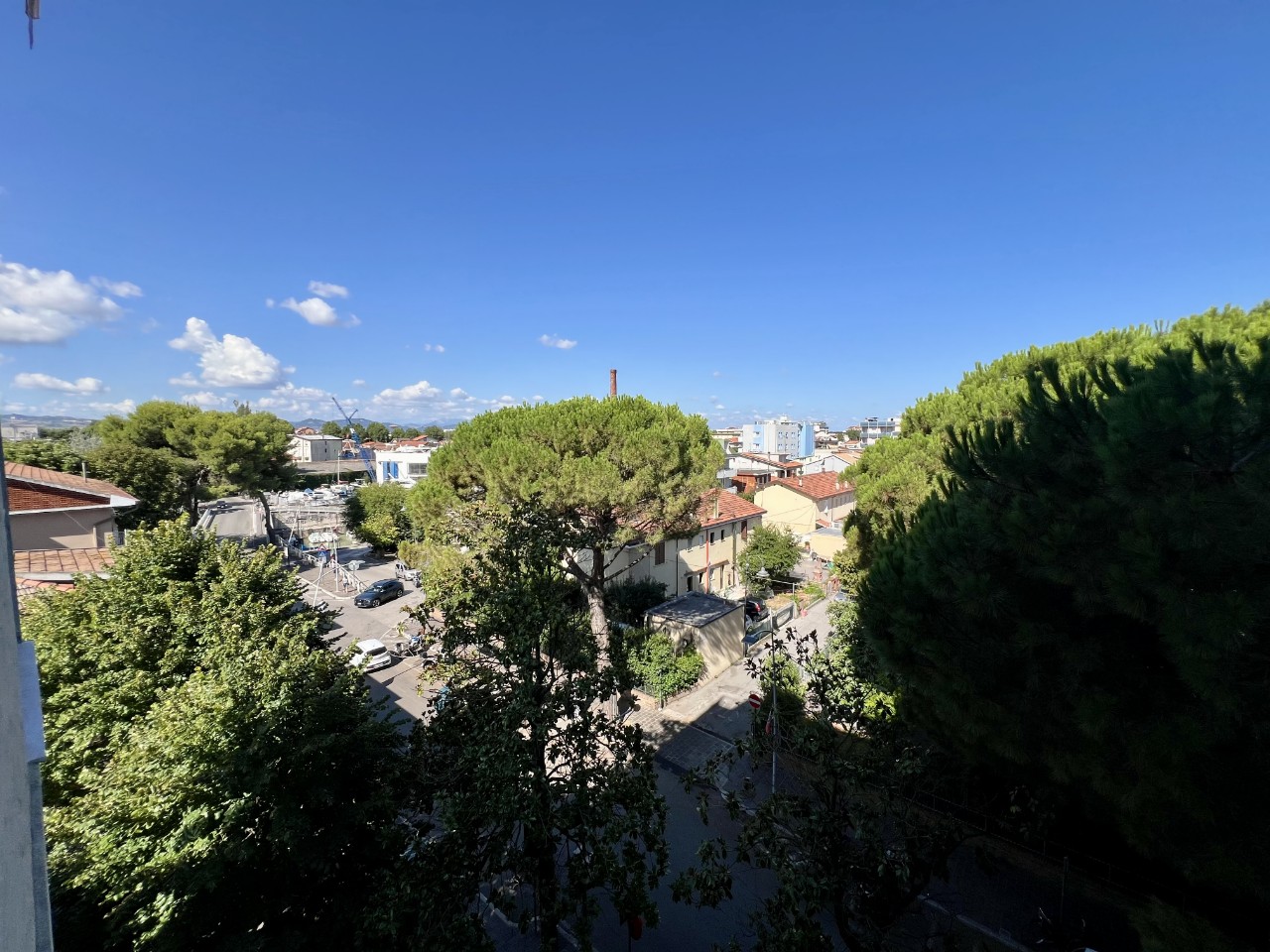 immagine annuncio 11 di 14