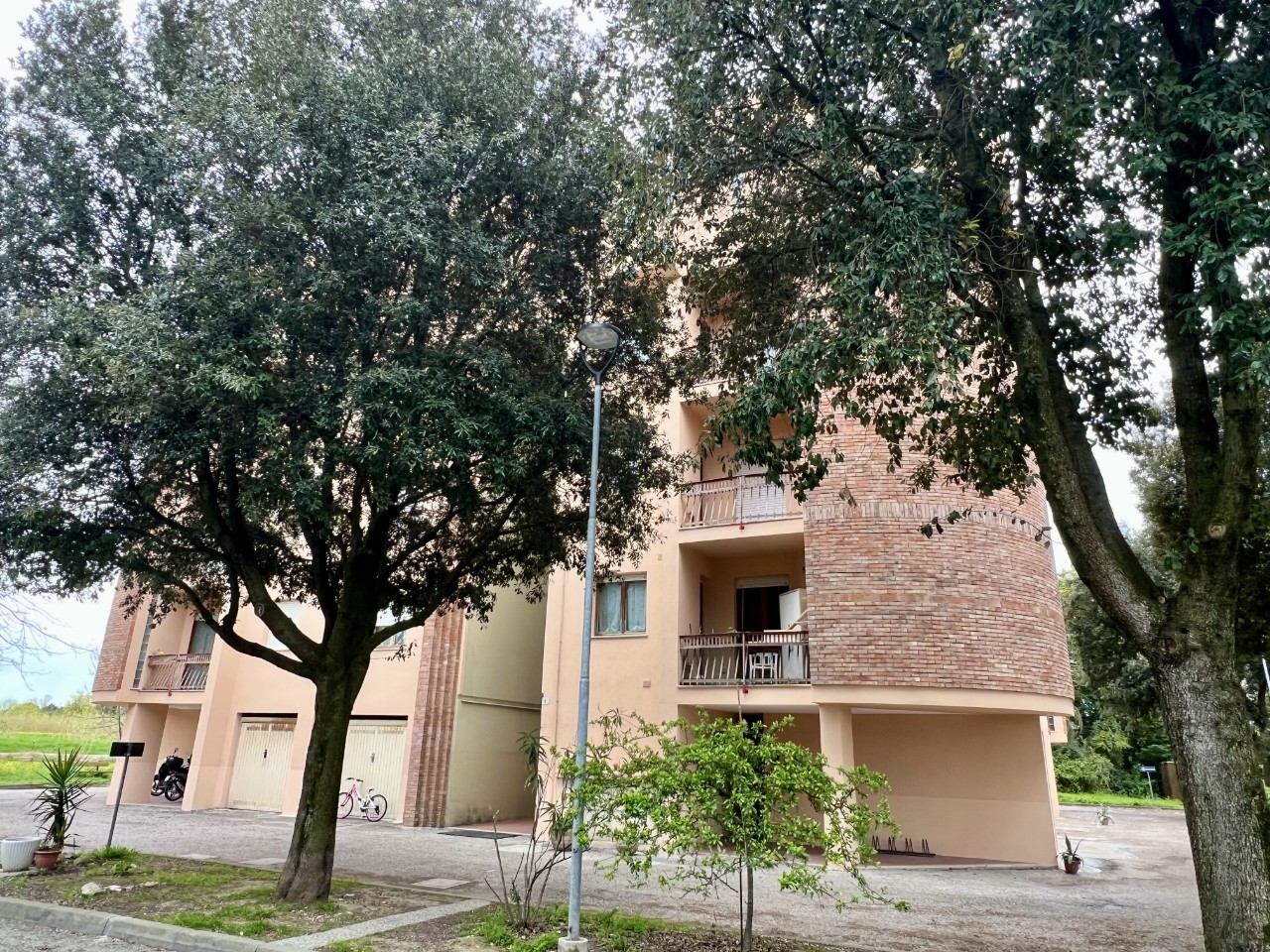 immagine annuncio 13 di 14