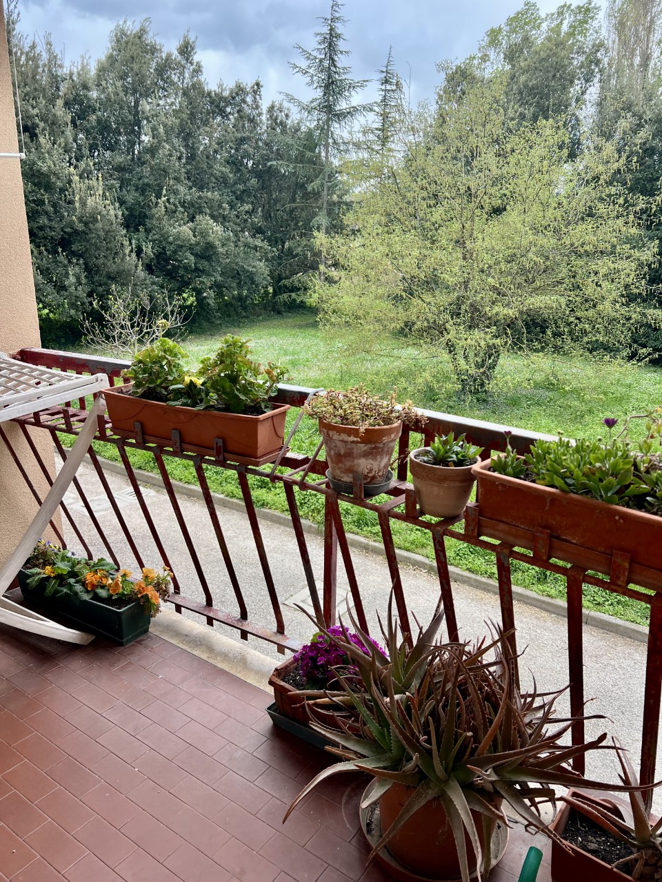 immagine annuncio 10 di 14