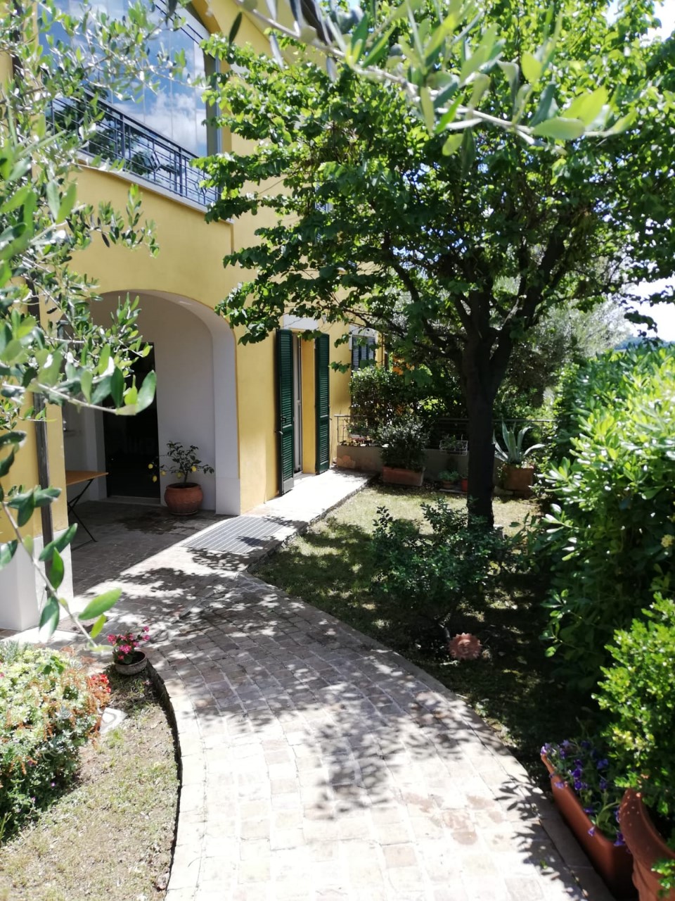 ingresso