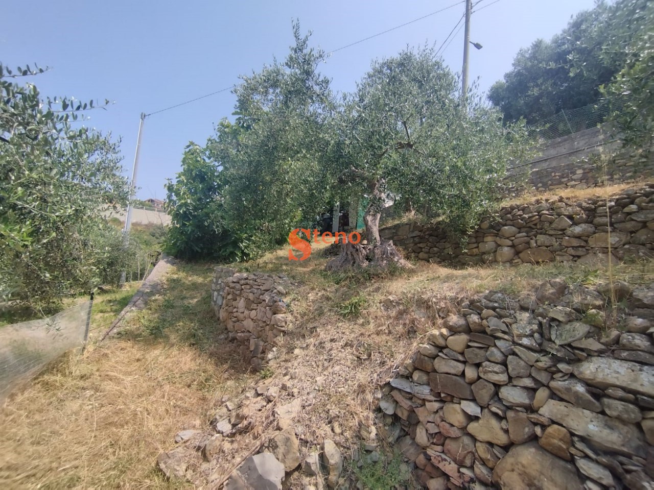 Immagine WhatsApp 2025-06-25 ore 12.43.57_9e43a765