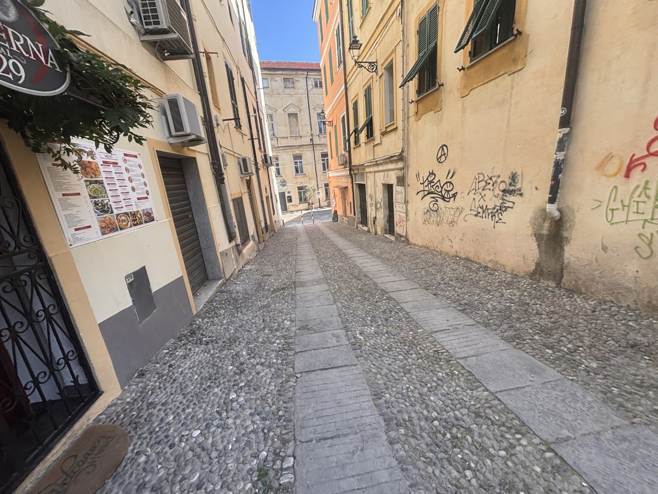 immagine annuncio 6 di 14