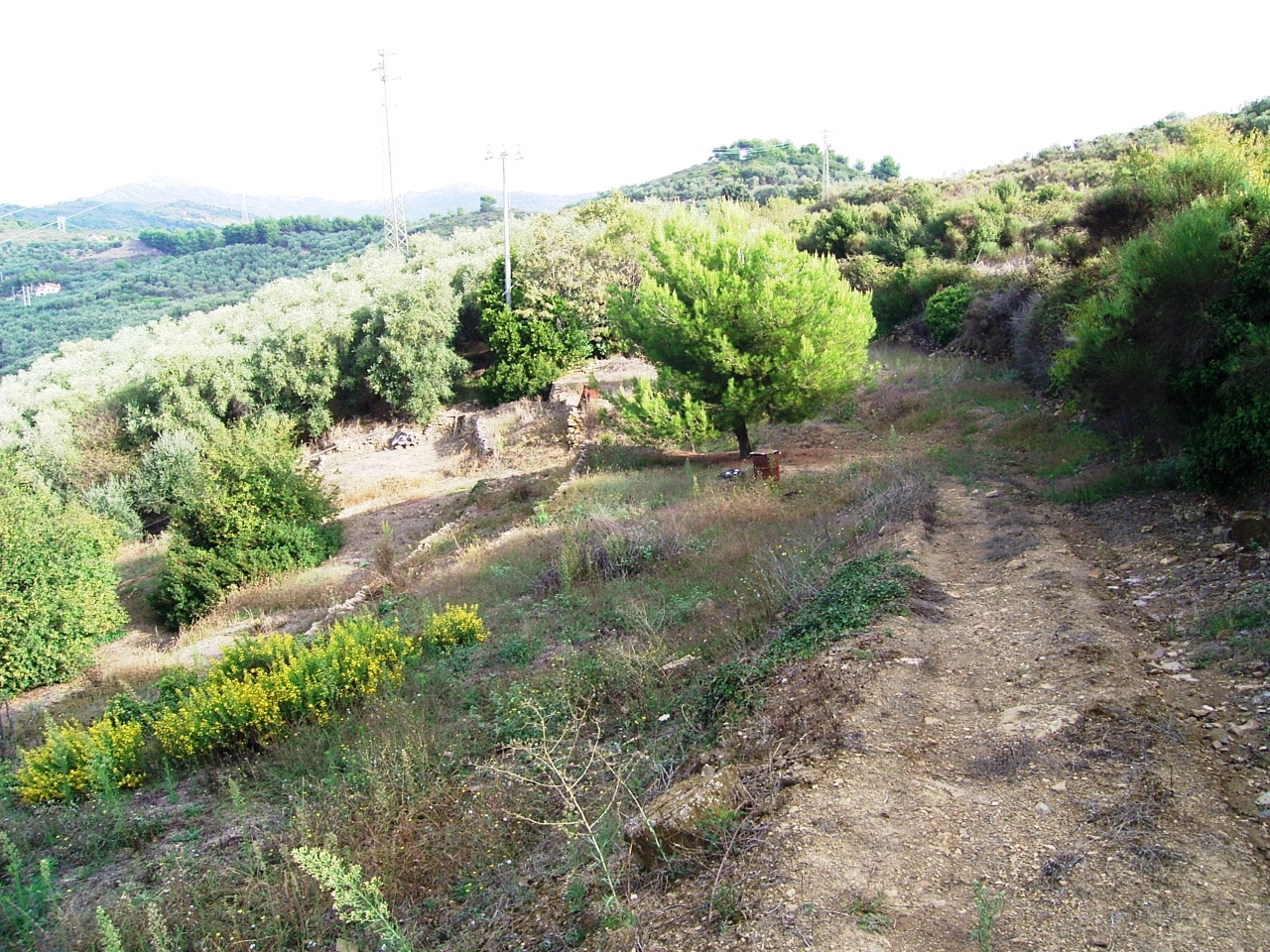 2013 panegai progetti 012