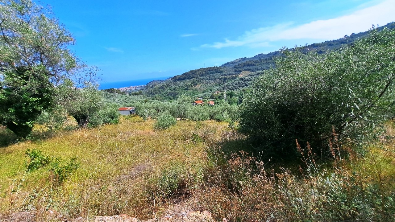 immagine annuncio 8 di 9