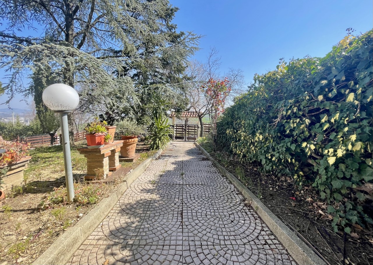 immagine annuncio 5 di 12