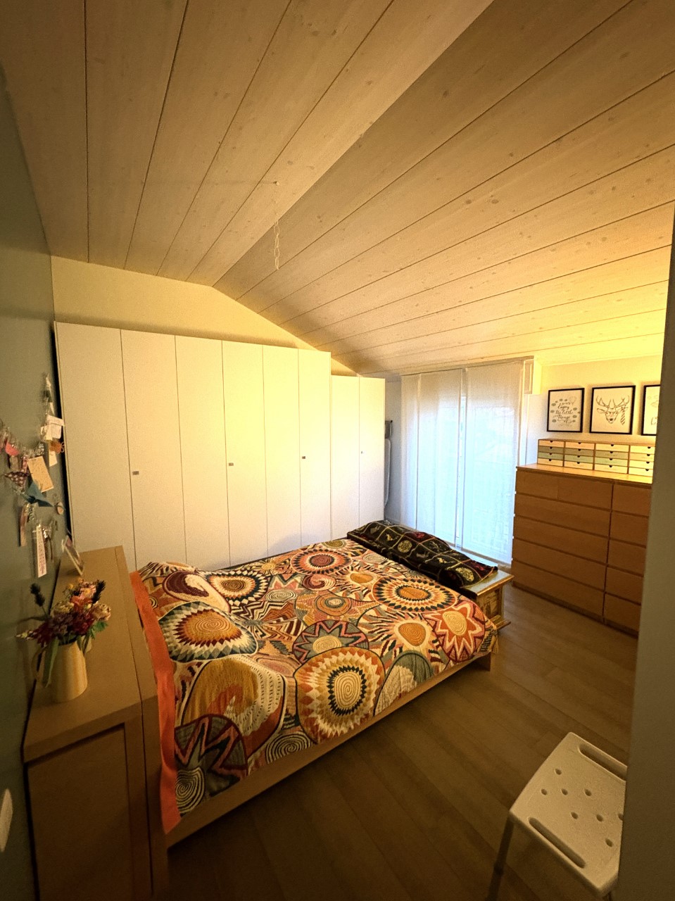 immagine annuncio 7 di 14