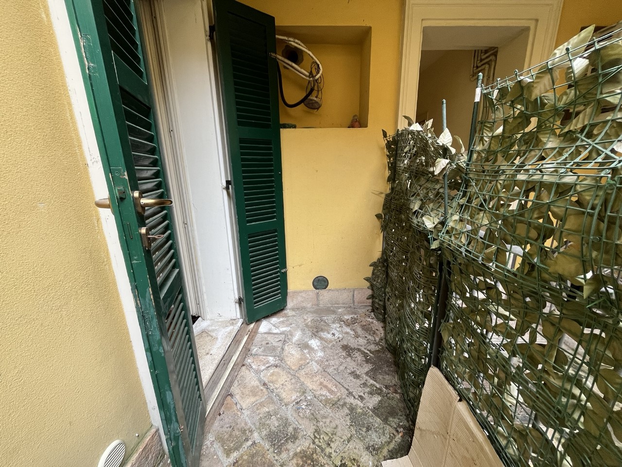 immagine annuncio 6 di 8