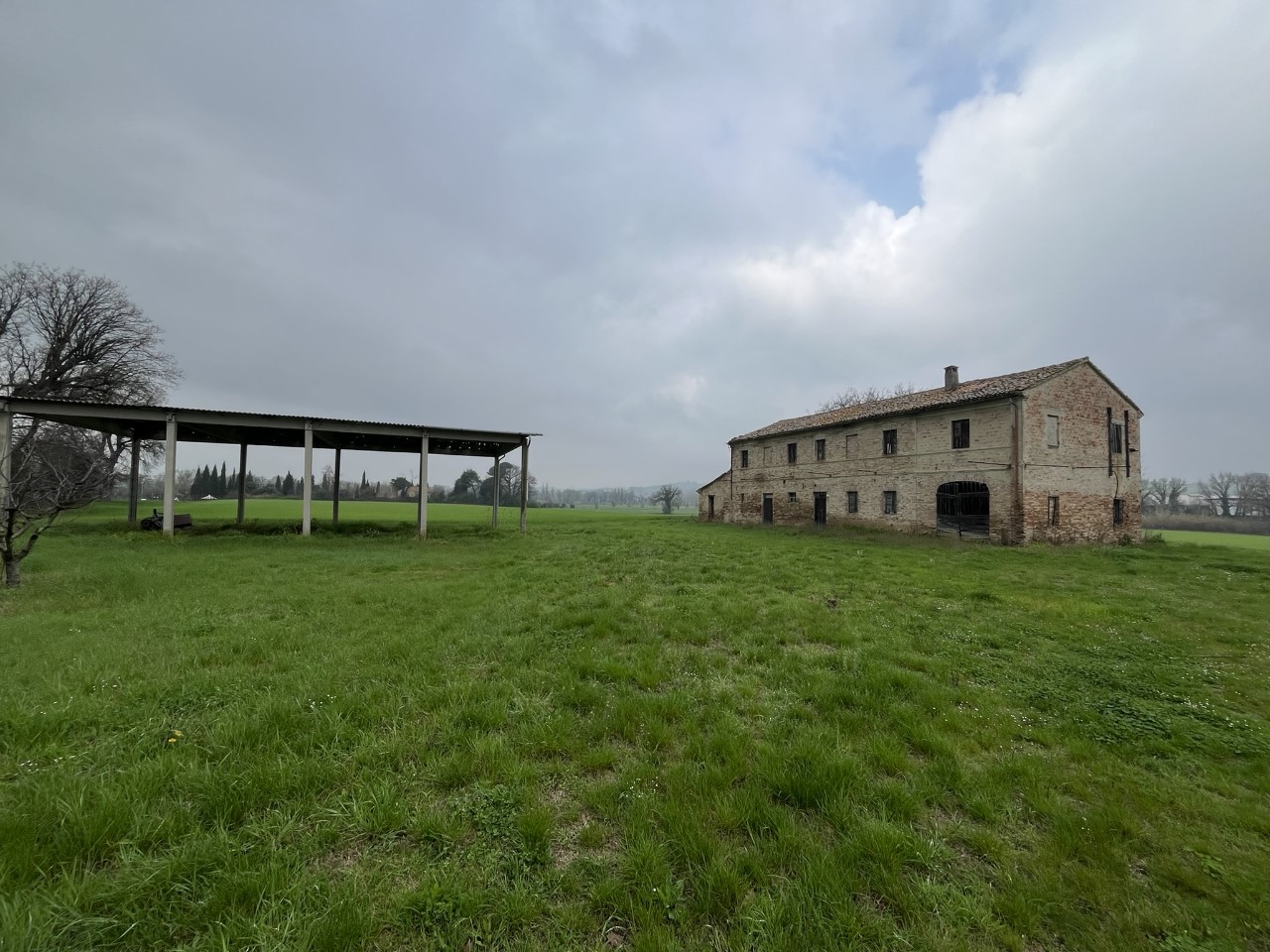 immagine annuncio 3 di 13