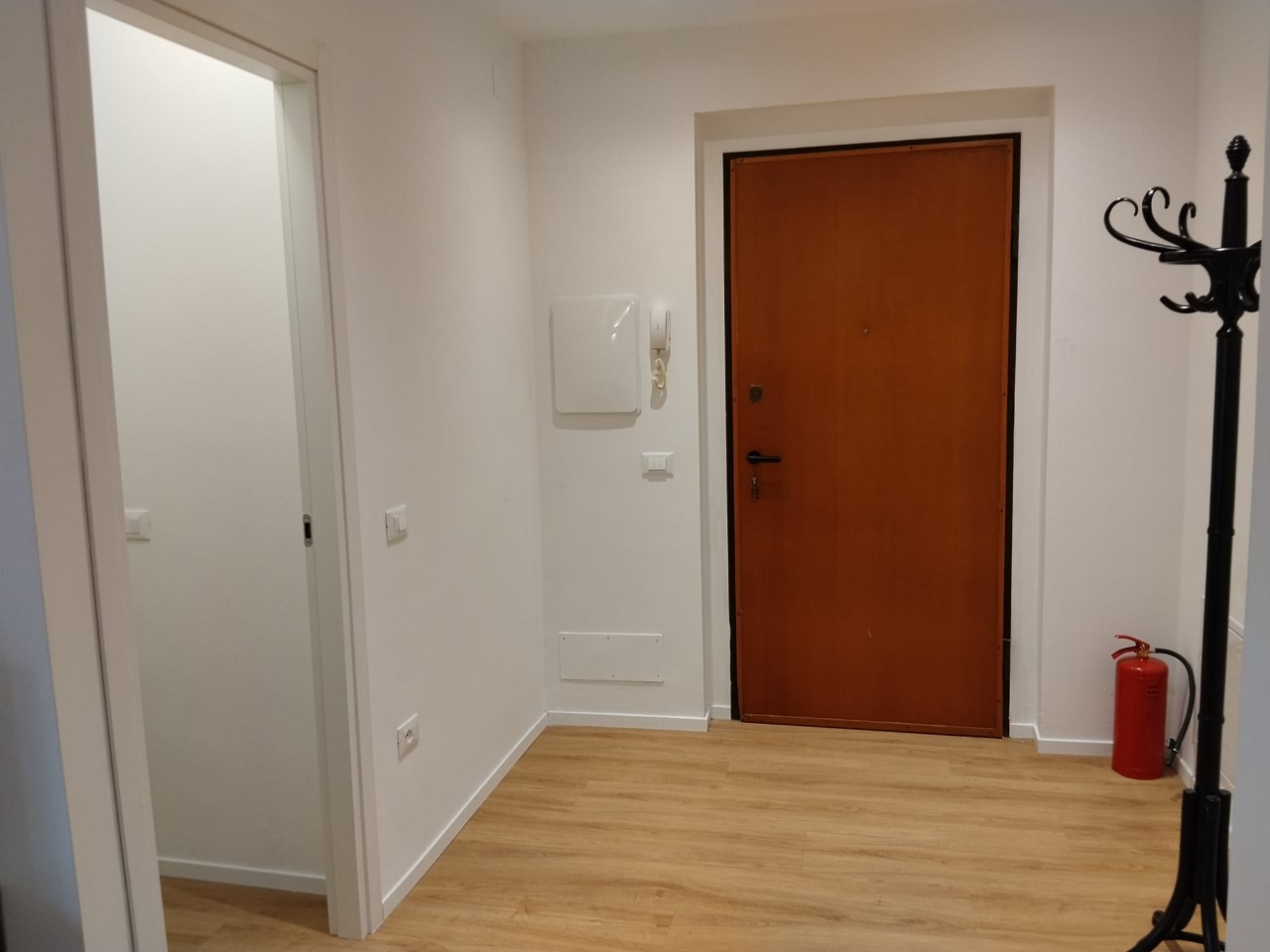 WhatsApp Image 2026-02-11 at 10.51.20 (4)