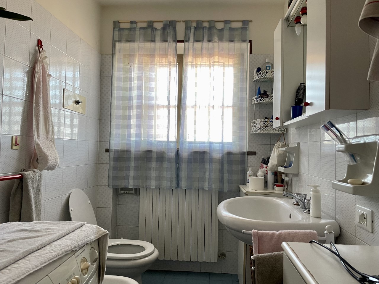 immagine annuncio 4 di 12