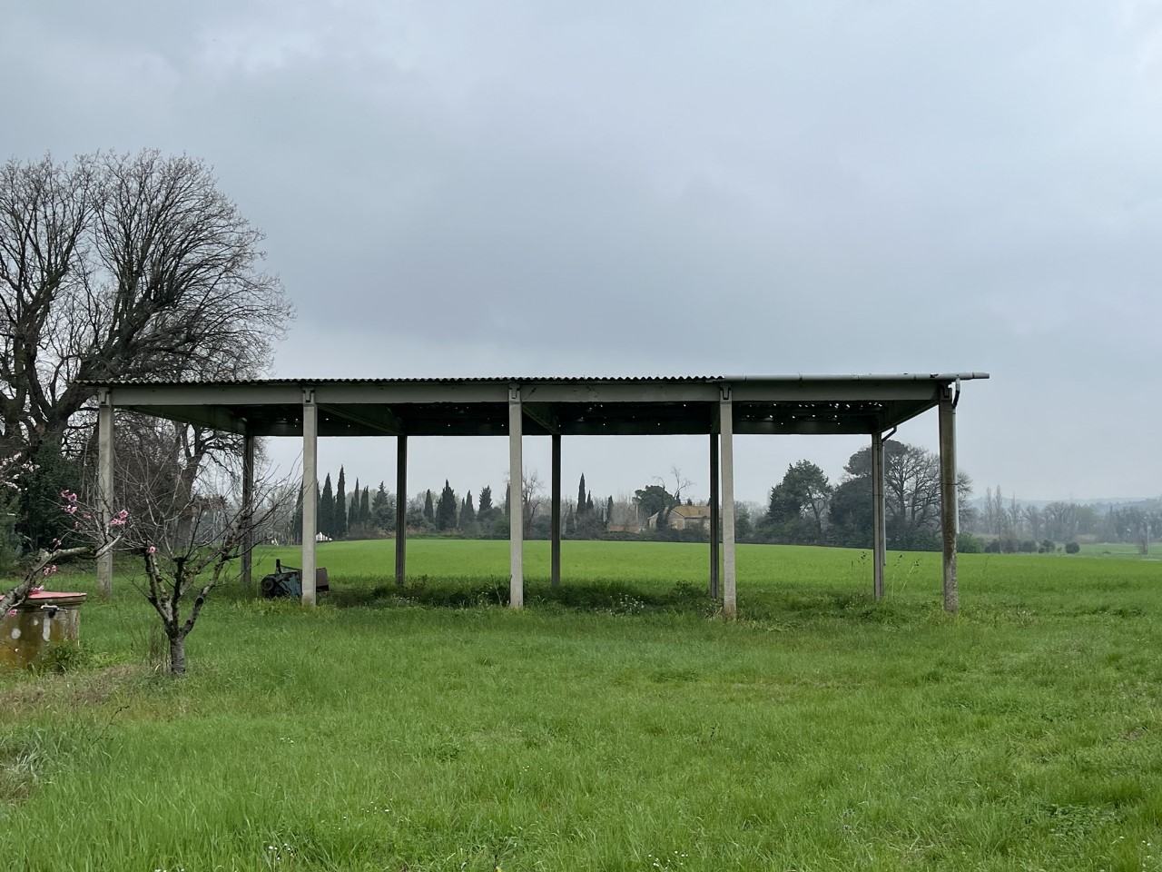 immagine annuncio 4 di 13