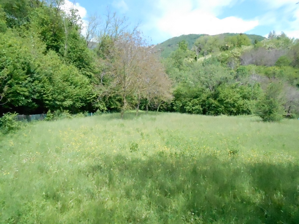 immagine annuncio 2 di 11