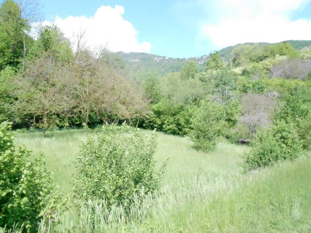 immagine annuncio 9 di 11