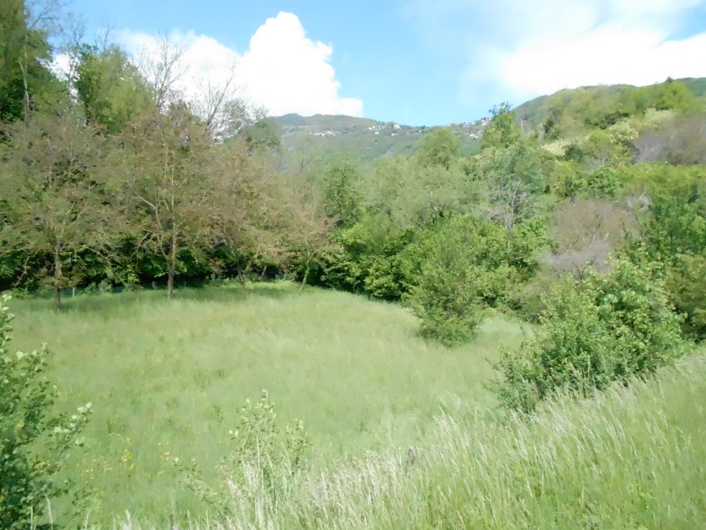 immagine annuncio 3 di 11