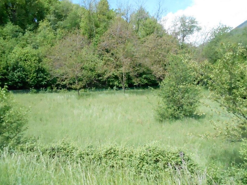 immagine annuncio 5 di 11