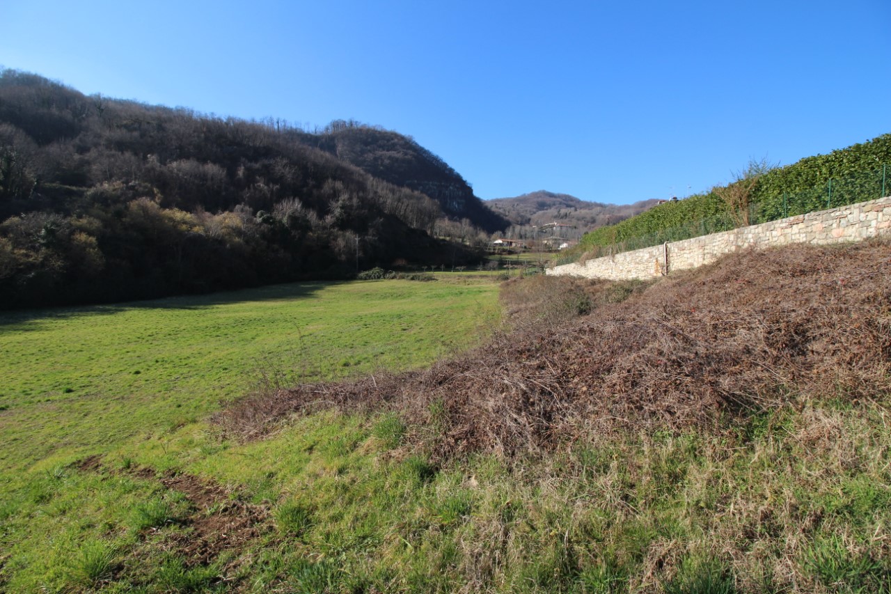 immagine annuncio 5 di 8