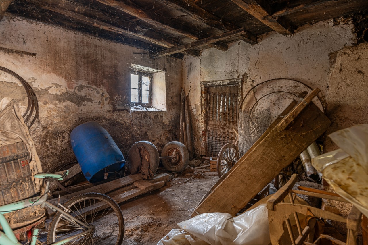 immagine annuncio 5 di 14