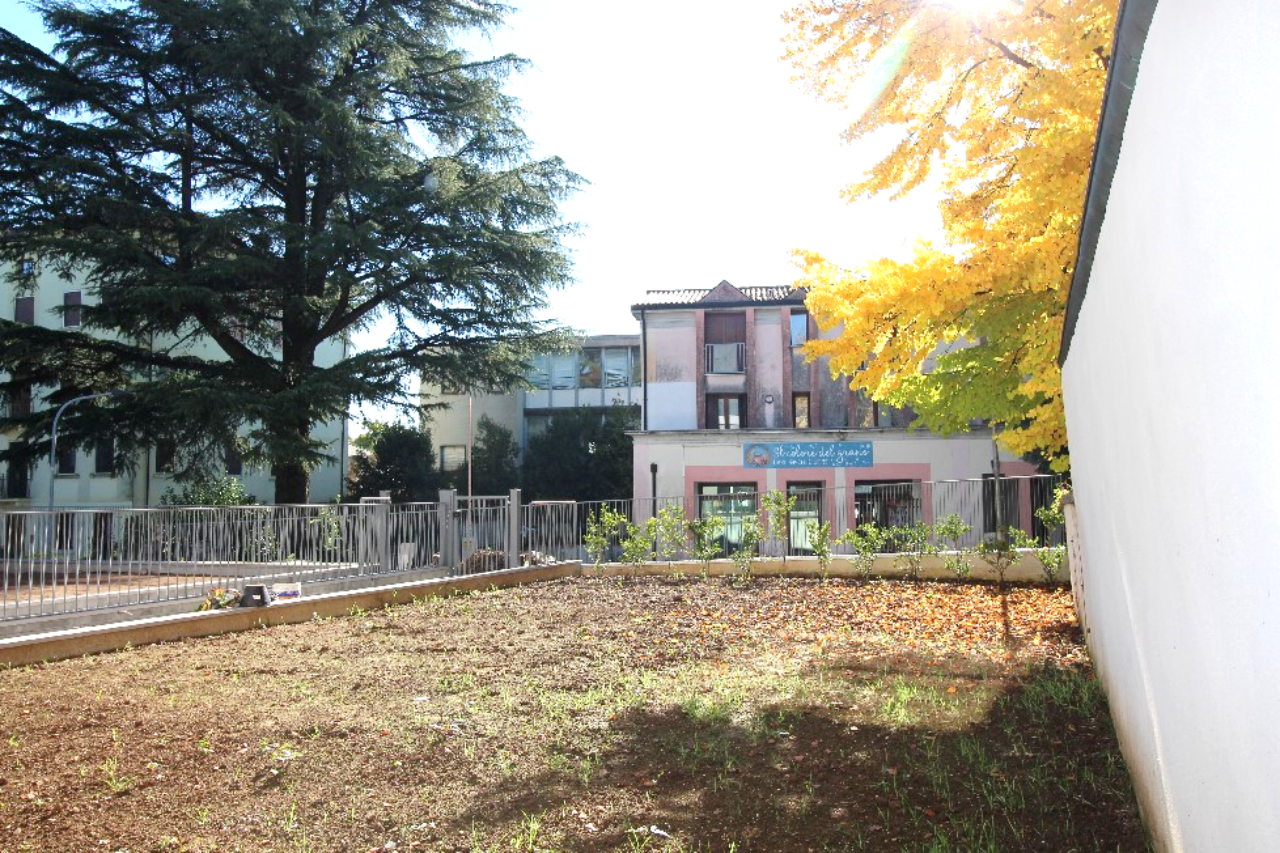 immagine annuncio 3 di 7