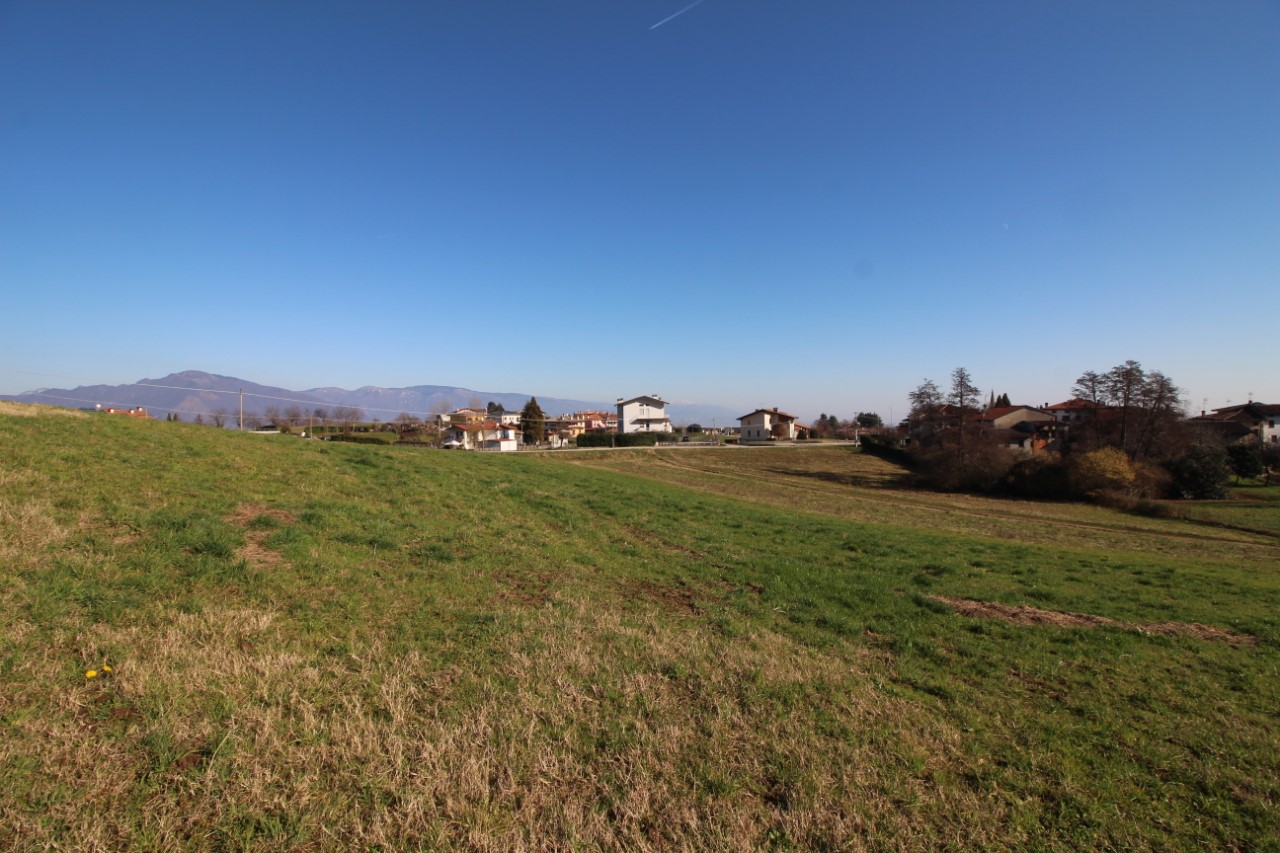 immagine annuncio 6 di 8