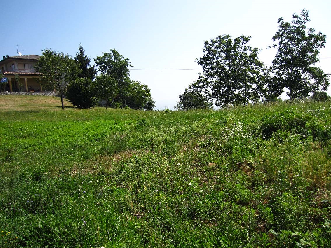 immagine annuncio 6 di 14