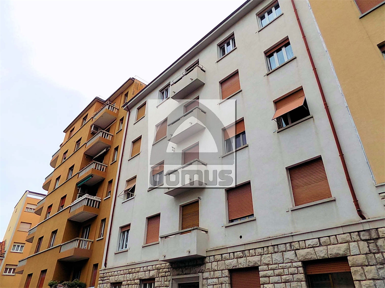 immagine annuncio 1 di 13