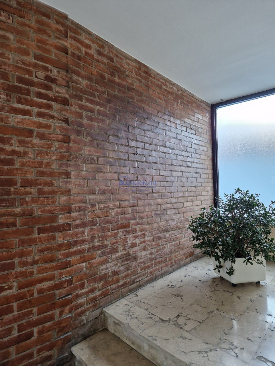 WhatsApp Image 2025-09-23 at 06.03.22