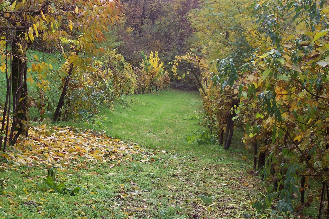 immagine annuncio 2 di 4