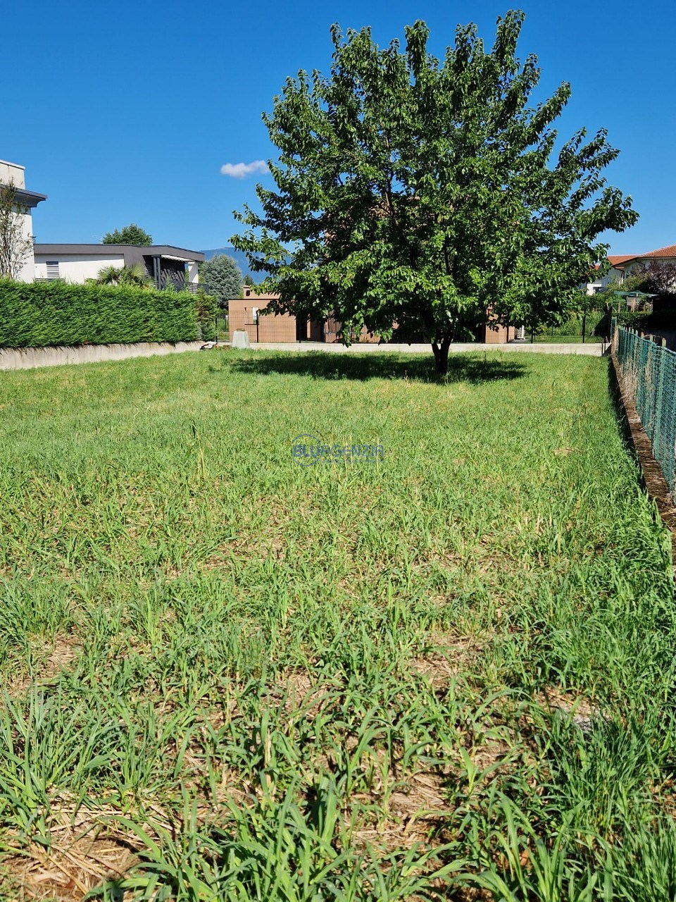 immagine annuncio 2 di 13