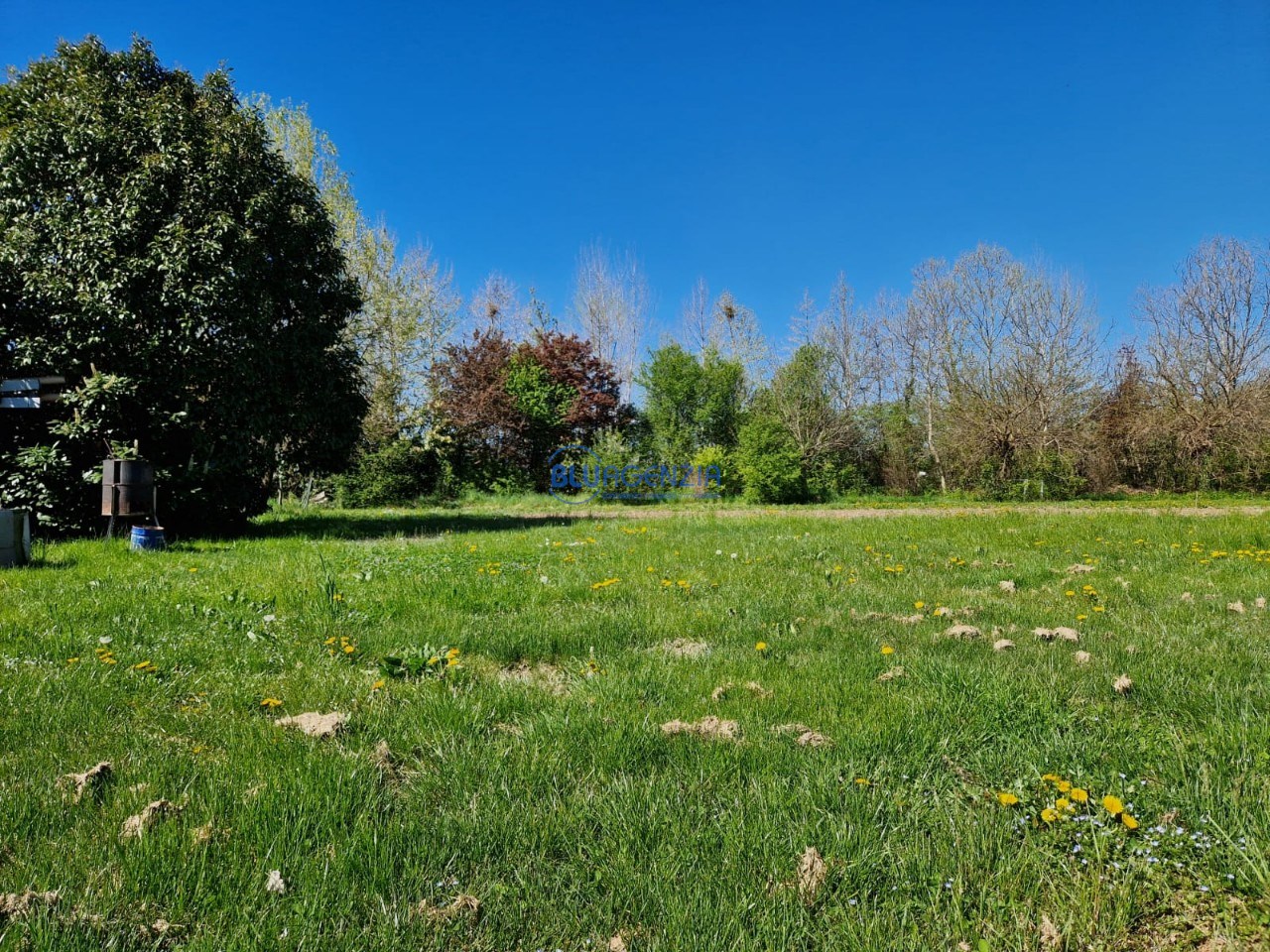 WhatsApp Image 2026-04-04 at 21.10.28