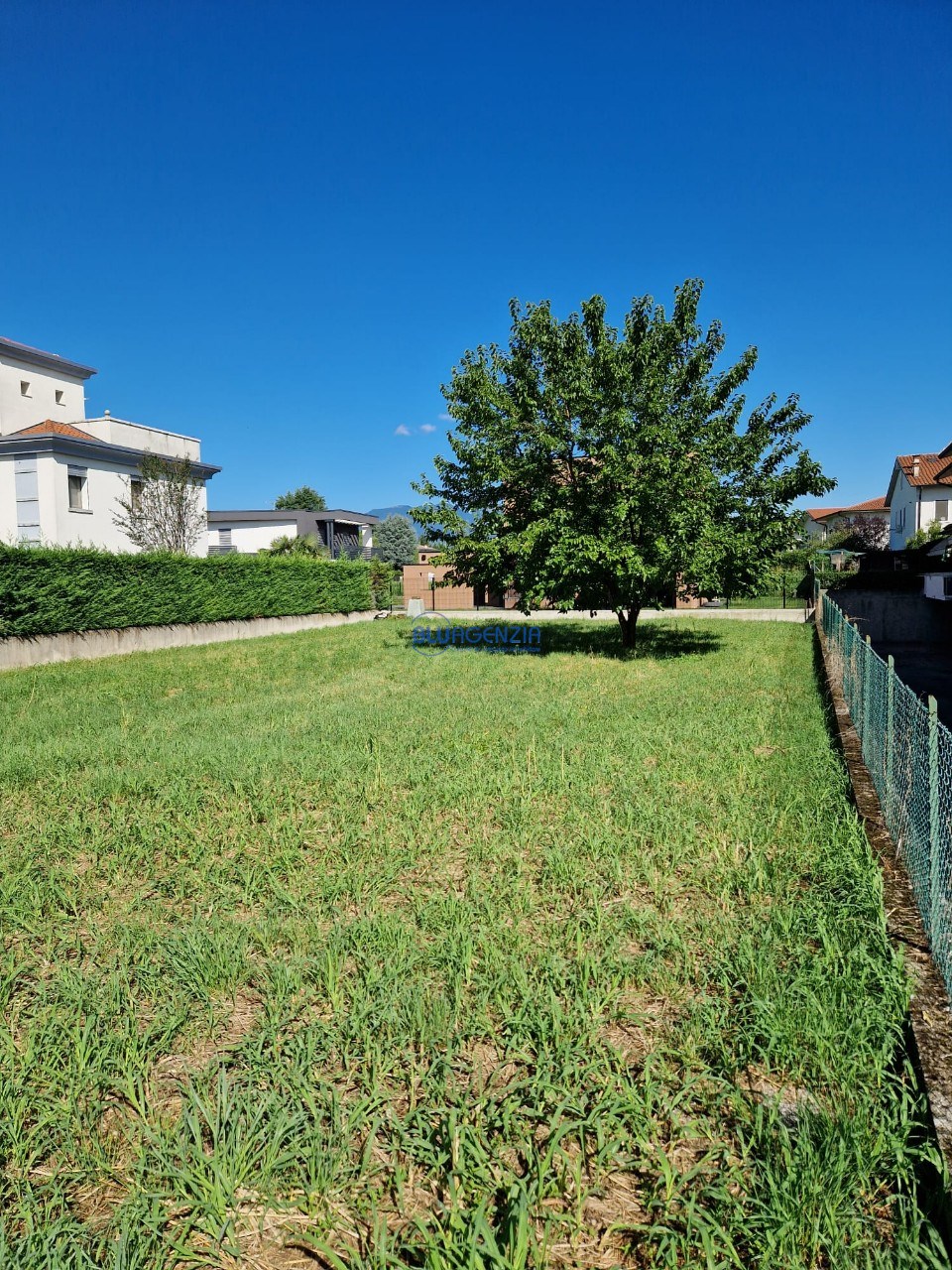 immagine annuncio 5 di 13